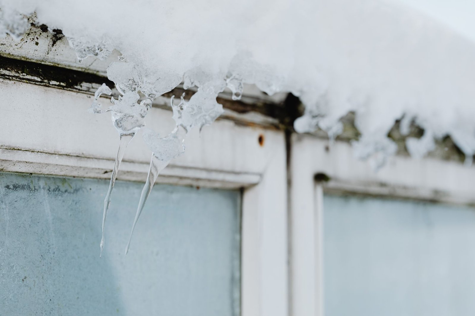 In winter the oil matters more than the sugar does